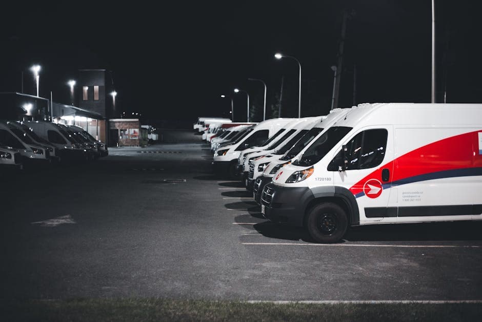 Van size guide