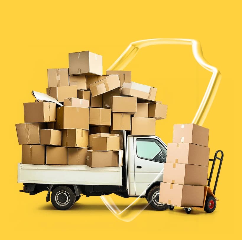 Professional man and van service with secure handling