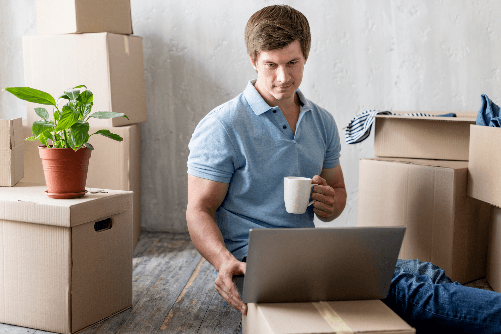 Marketing team workspace with packed boxes and plants