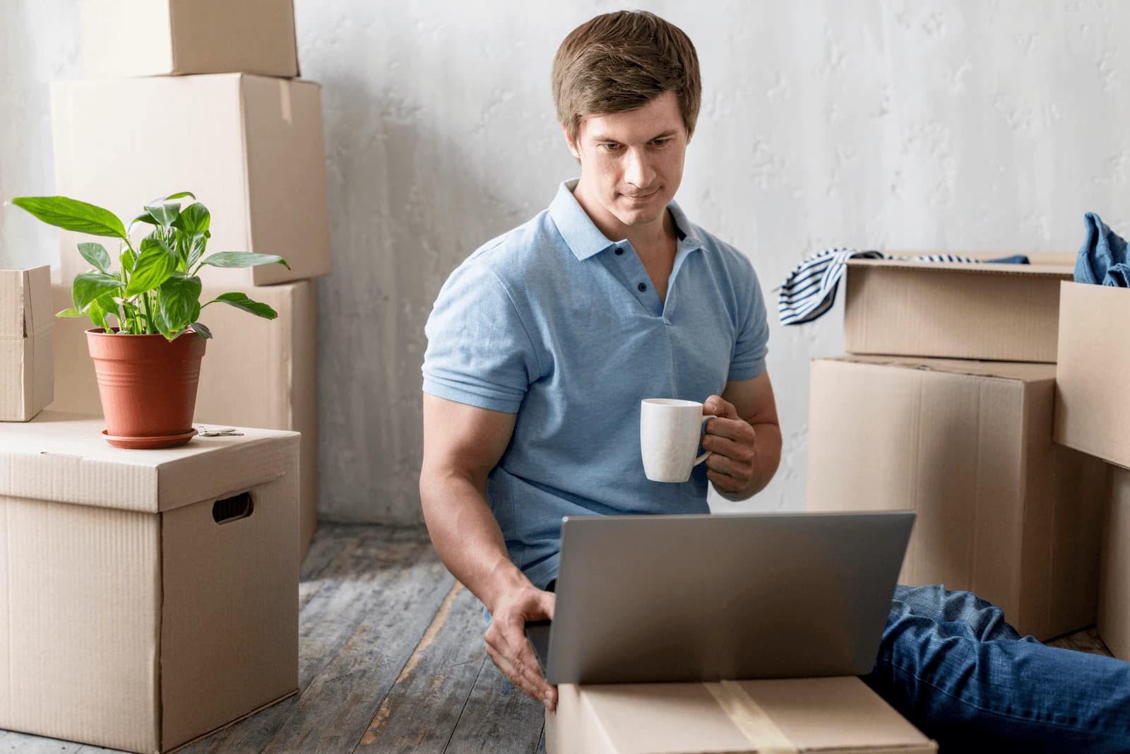 Marketing team workspace with packed boxes and plants